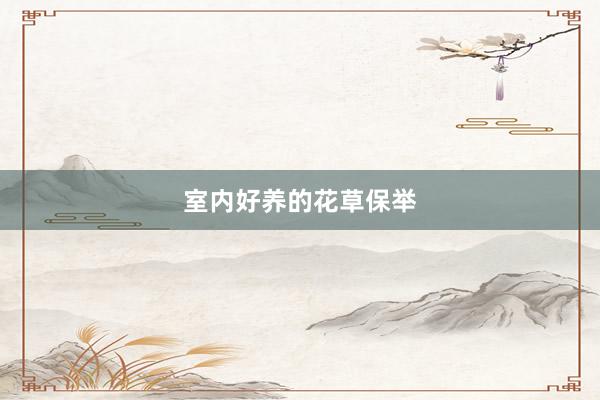 室内好养的花草保举