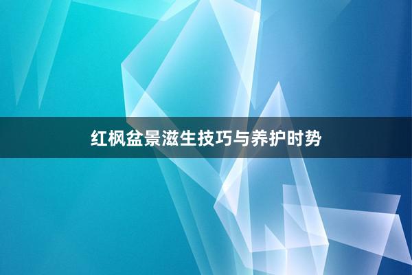 红枫盆景滋生技巧与养护时势